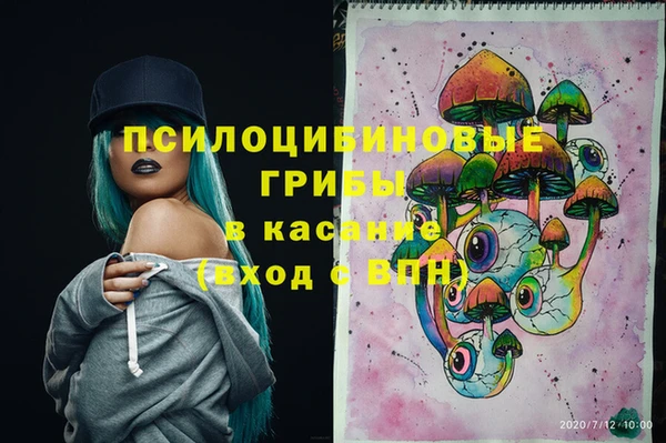 СК Абинск