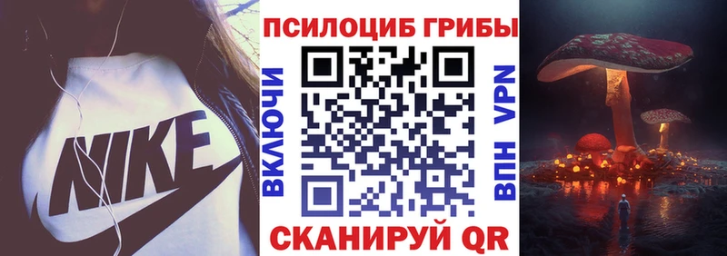 цены наркотик  ОМГ ОМГ ссылка  Псилоцибиновые грибы MAGIC MUSHROOMS  Сусуман 