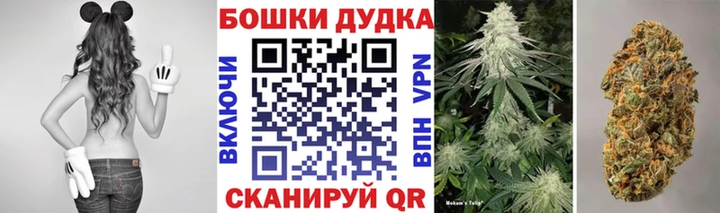 Марихуана конопля  Сусуман 
